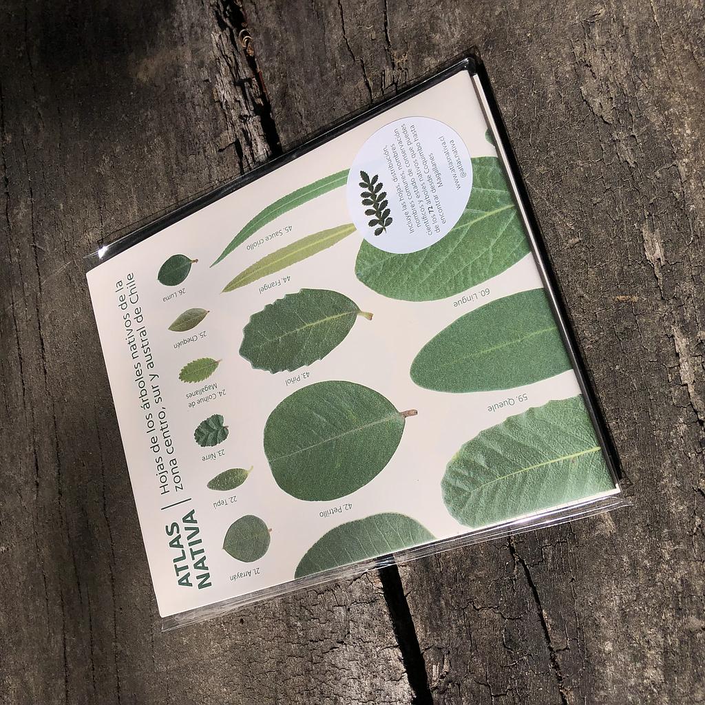 Bolsa de lona Santiago