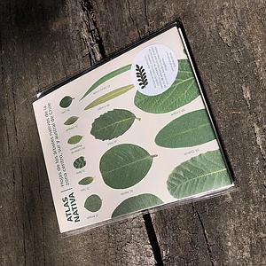 Bolsa de lona Santiago