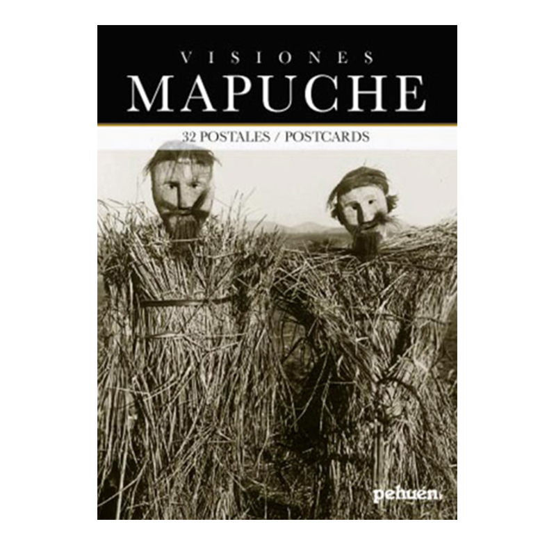 Visiones mapuche