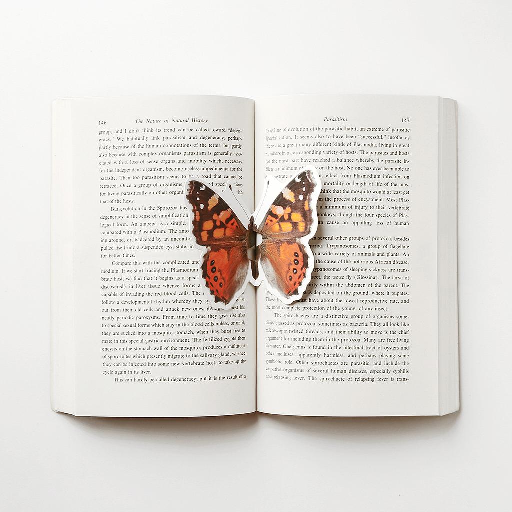 The butterfly bookmark