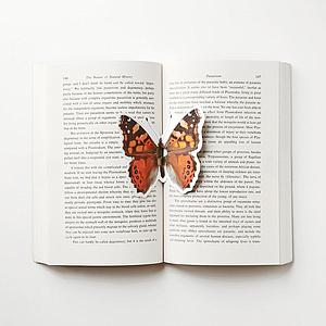 The butterfly bookmark