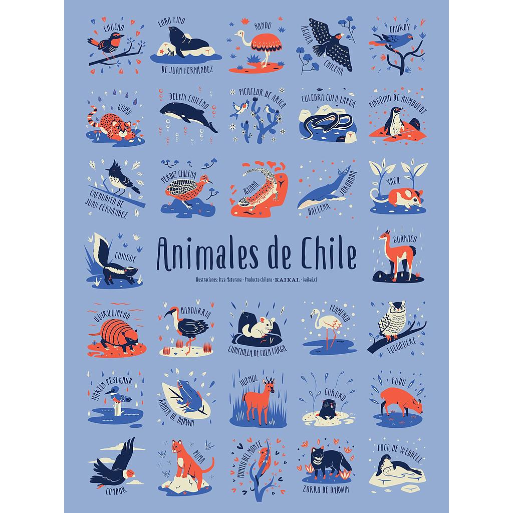 Afiche Animales de Chile