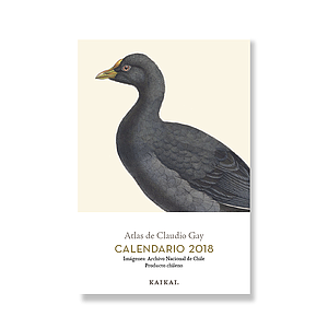 Calendario postal Claudio Gay